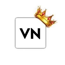 VN Video Editor Logo