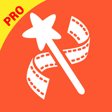 VideoShow Logo